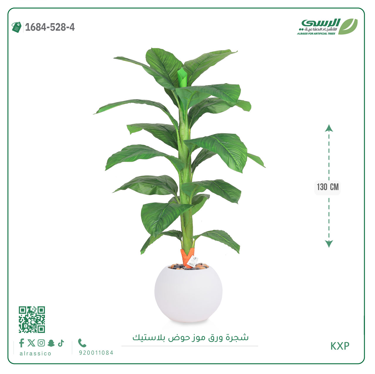  شجرة ورق موز متوسطة بمركن بلاستيك دائرى  