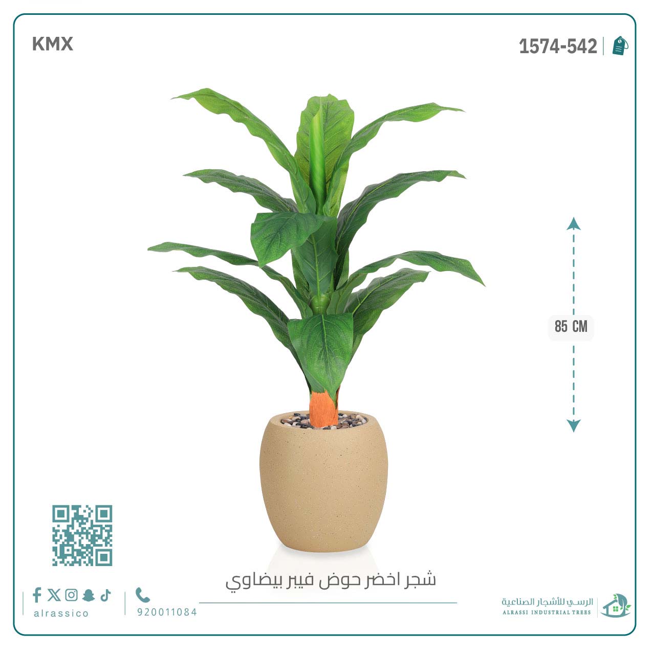  شجرة ورق موز حوض فيبر بيضوي 