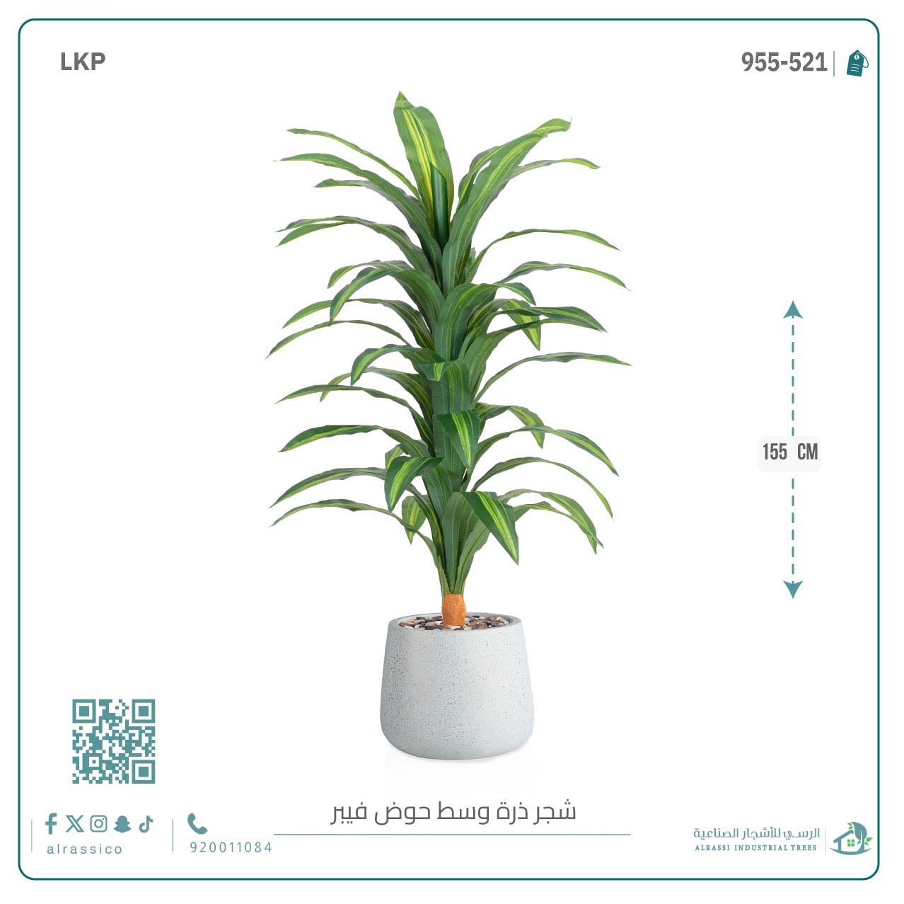  شجرة نبات الذرة (دراسينا) الاصطناعية كبيرة بمركن فيبر بيضاوى  
