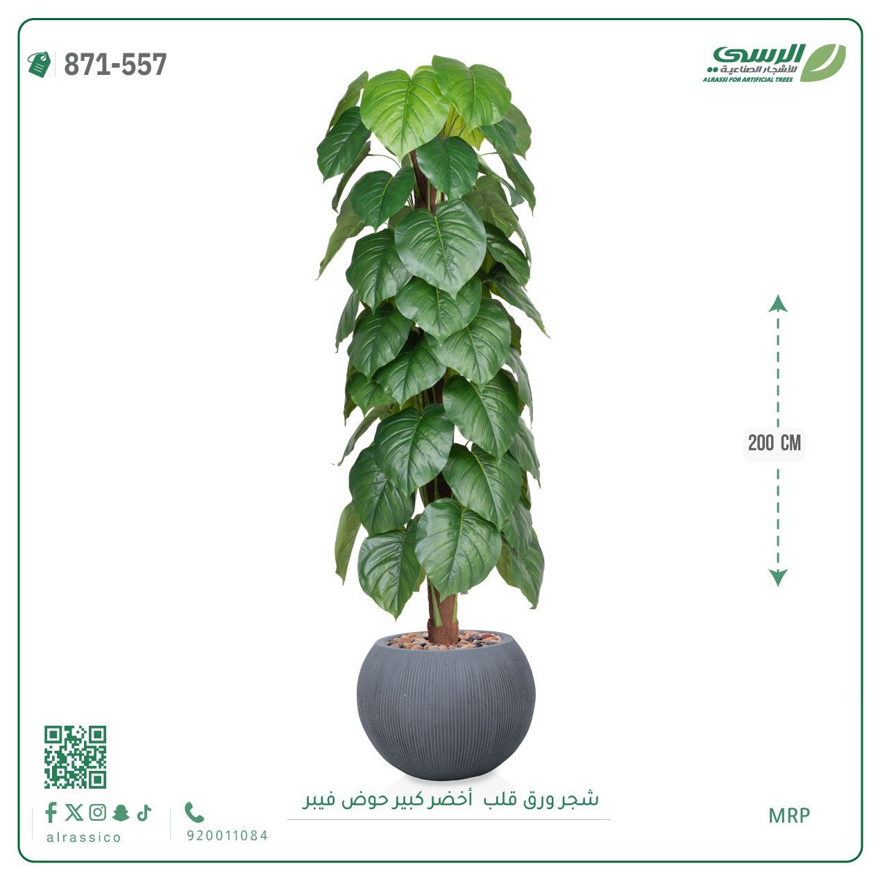  شجرة ورق قلب اصطناعية ( ارتفاع 200 سم ) حوض فايبر 