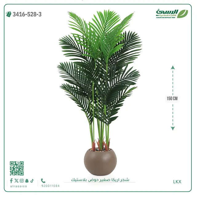  شجر أريكا صناعية ( ارتفاع 150 سم ) حوض بلاستك 