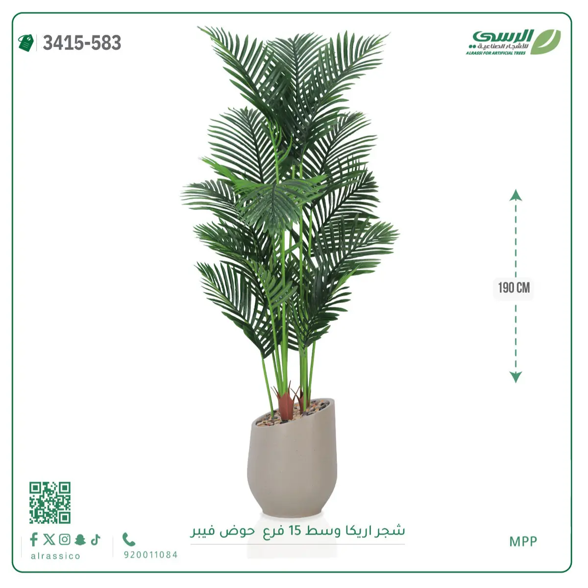  شجرة أريكا صناعية 15 فرع (ارتفاع 190 سم) حوض فيبر 