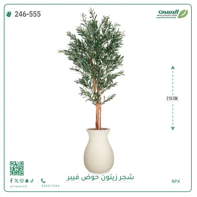  شجر زيتون صناعية ( ارتفاع 215 سم ) حوض فيبر 