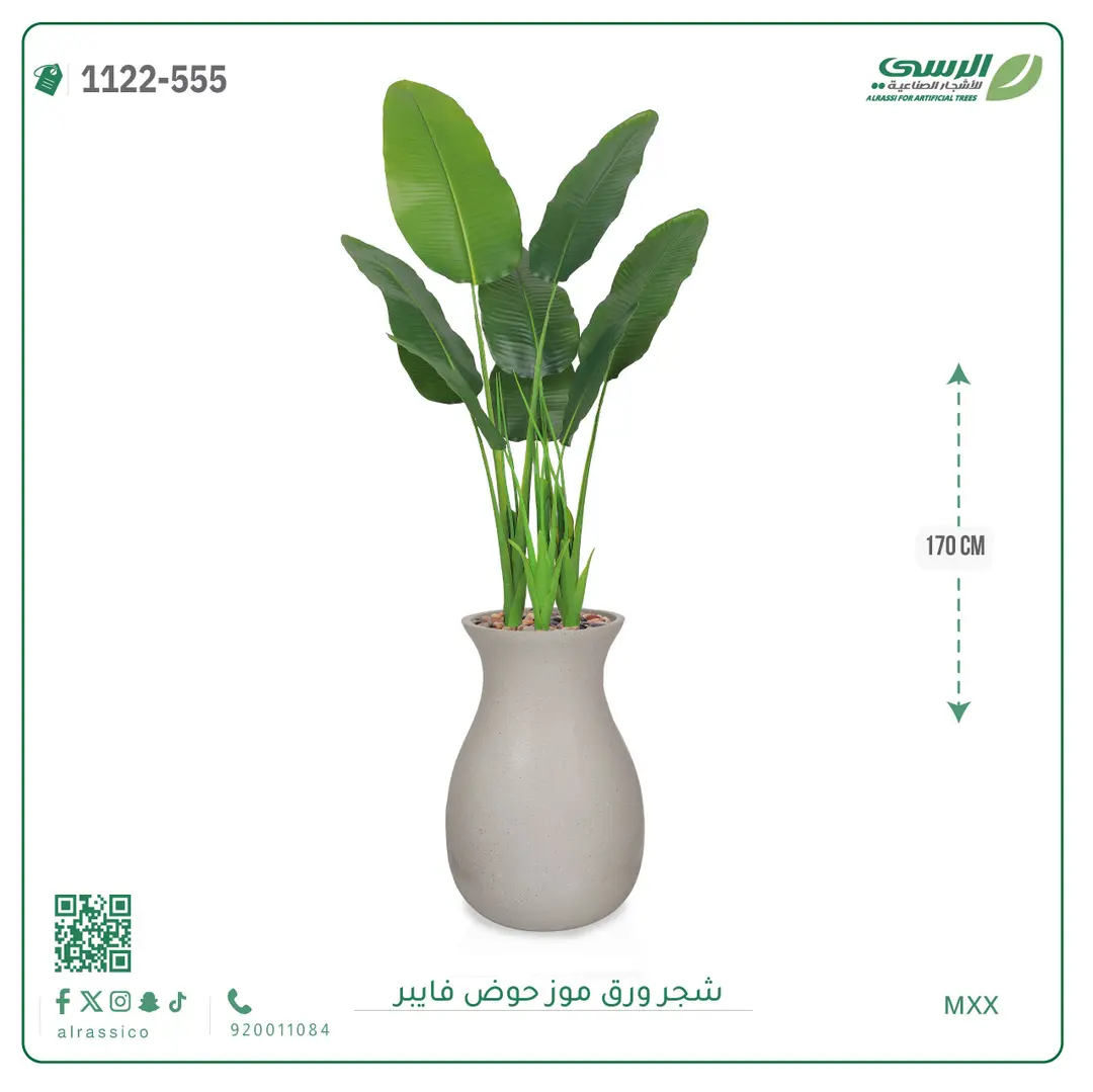  شجرة موز صناعية ( ارتفاع 170 سم ) حوض فيبر 