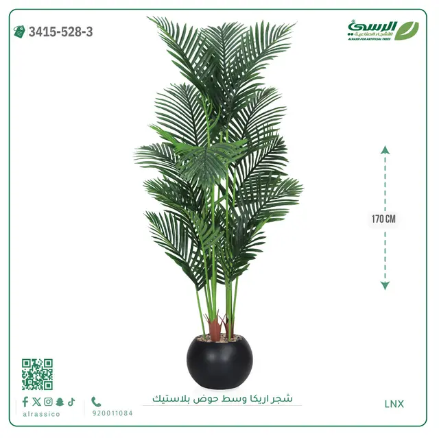  شجر أريكا صناعية ( ارتفاع 170 سم ) حوض بلاستك 