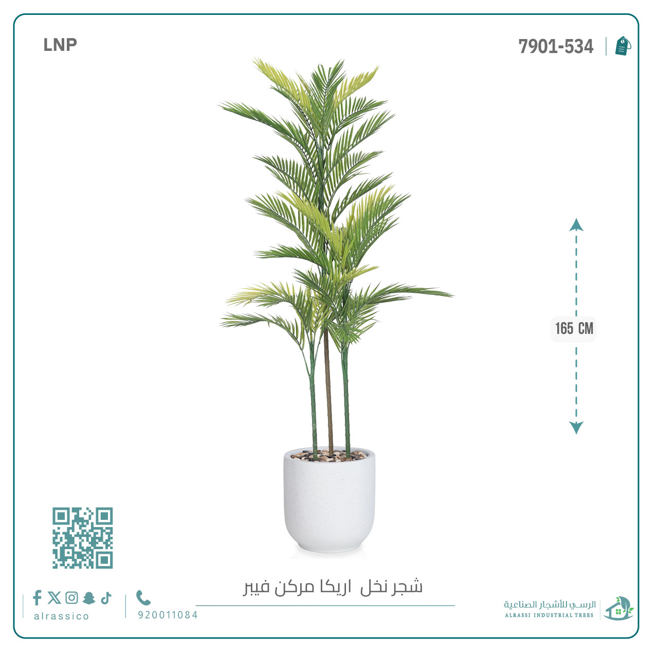  نخل أريكا اصطناعية (3 فرع) بمركن فيبر  أسطواني 
