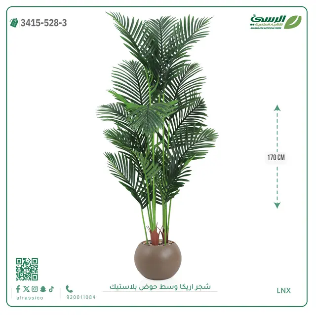  شجر أريكا صناعية ( ارتفاع 170 سم ) حوض بلاستك 