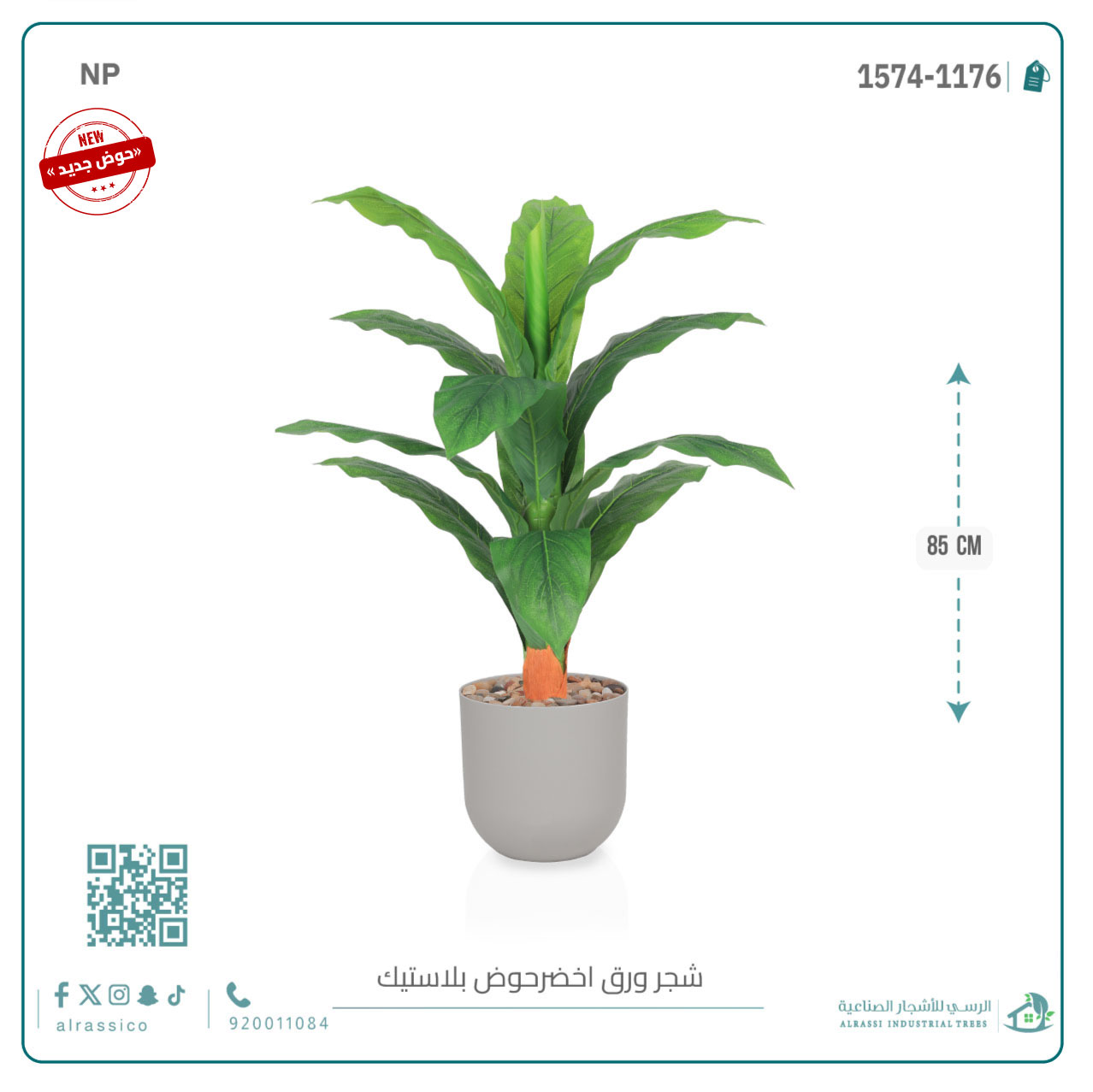  شجرة ورق موز صغير بمركن بلاستيك أسطواني 