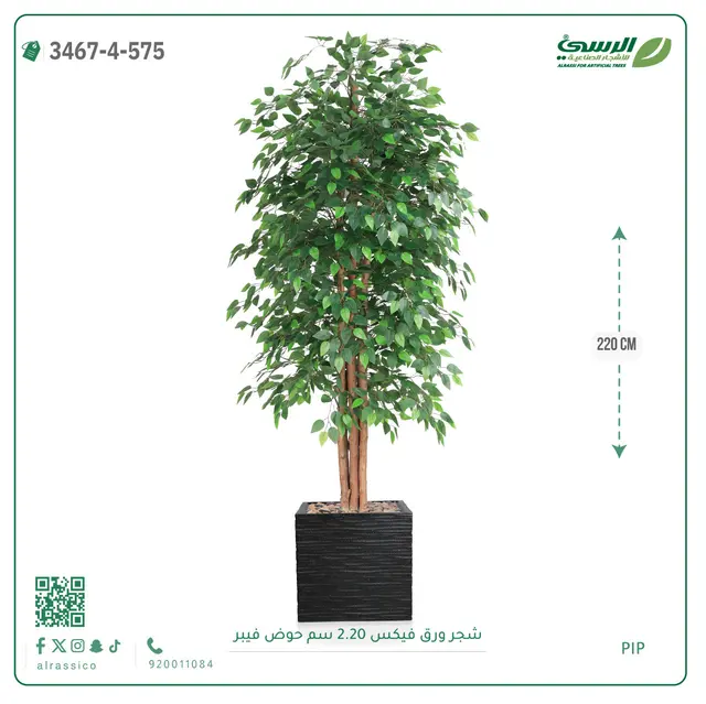  شجر فيكس صناعية (ارتفاع 220 سم) حوض فيبر 