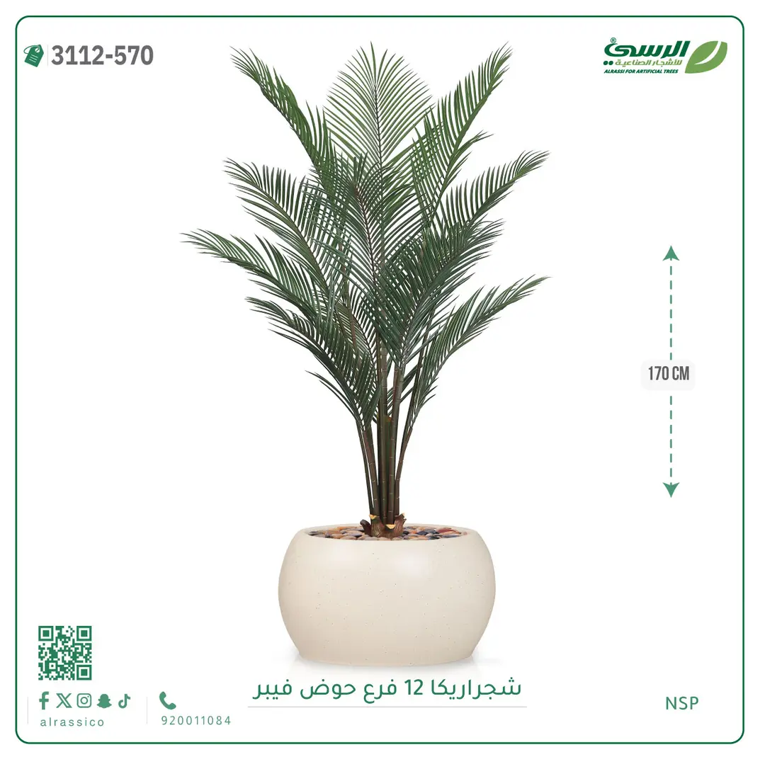  شجرة أريكا صناعية 12 فرع (ارتفاع 170 سم) حوض فيبر 