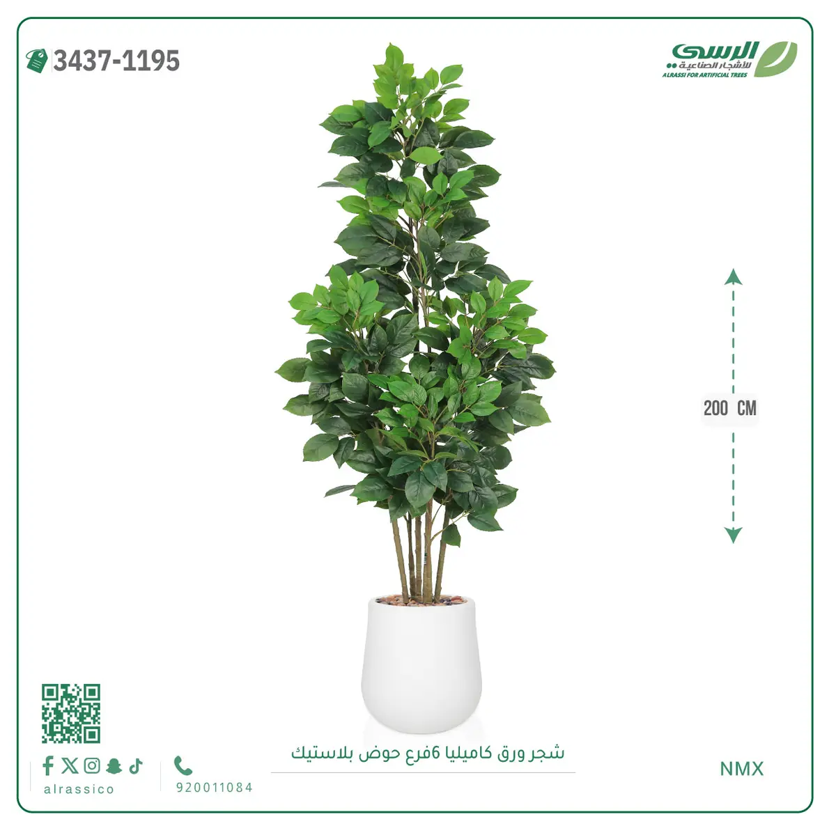  شجرة ورق كاميليا صناعية 6 فروع (ارتفاع 200 سم) حوض بلاستيك 