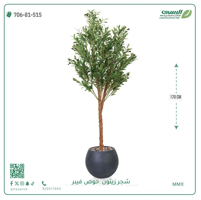  شجر زيتون صناعية ( ارتفاع 170 سم ) حوض فيبر 