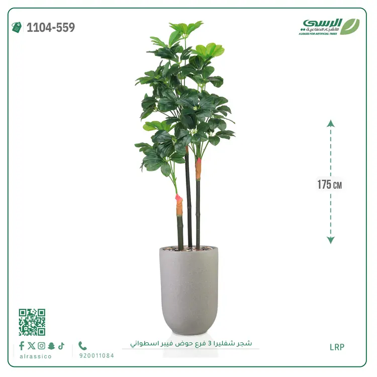  شجرة شيفليرا صناعية (ارتفاع 175 سم) بحوض فيبر 