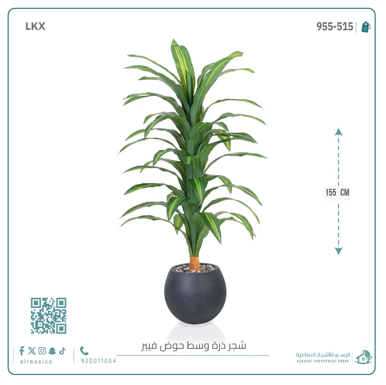  شجرة نبات الذرة (دراسينا) الاصطناعية كبيرة بمركن فيبر دائرى  