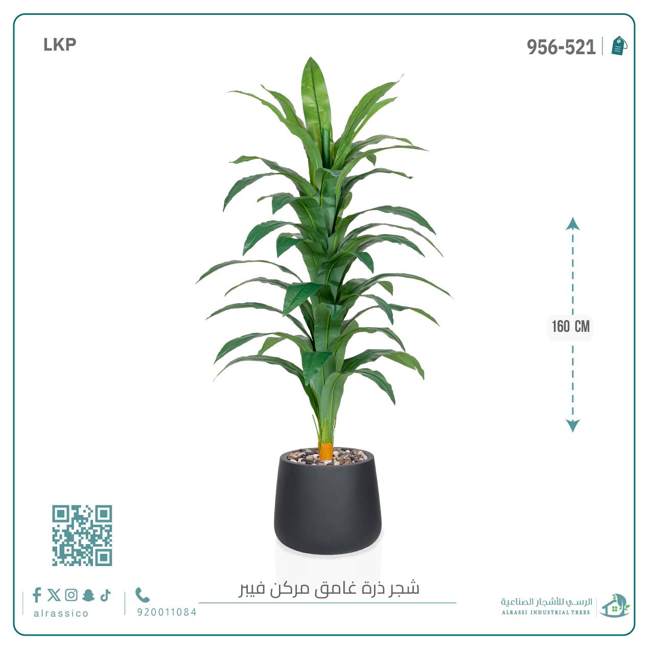  شجرة نبات الذرة (دراسينا) الاصطناعية بمركن فيبر بيضاوى 