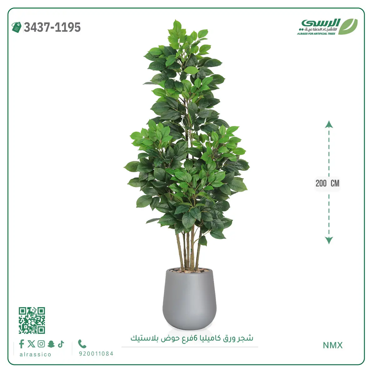  شجرة ورق كاميليا صناعية 6 فروع (ارتفاع 200 سم) حوض بلاستيك 