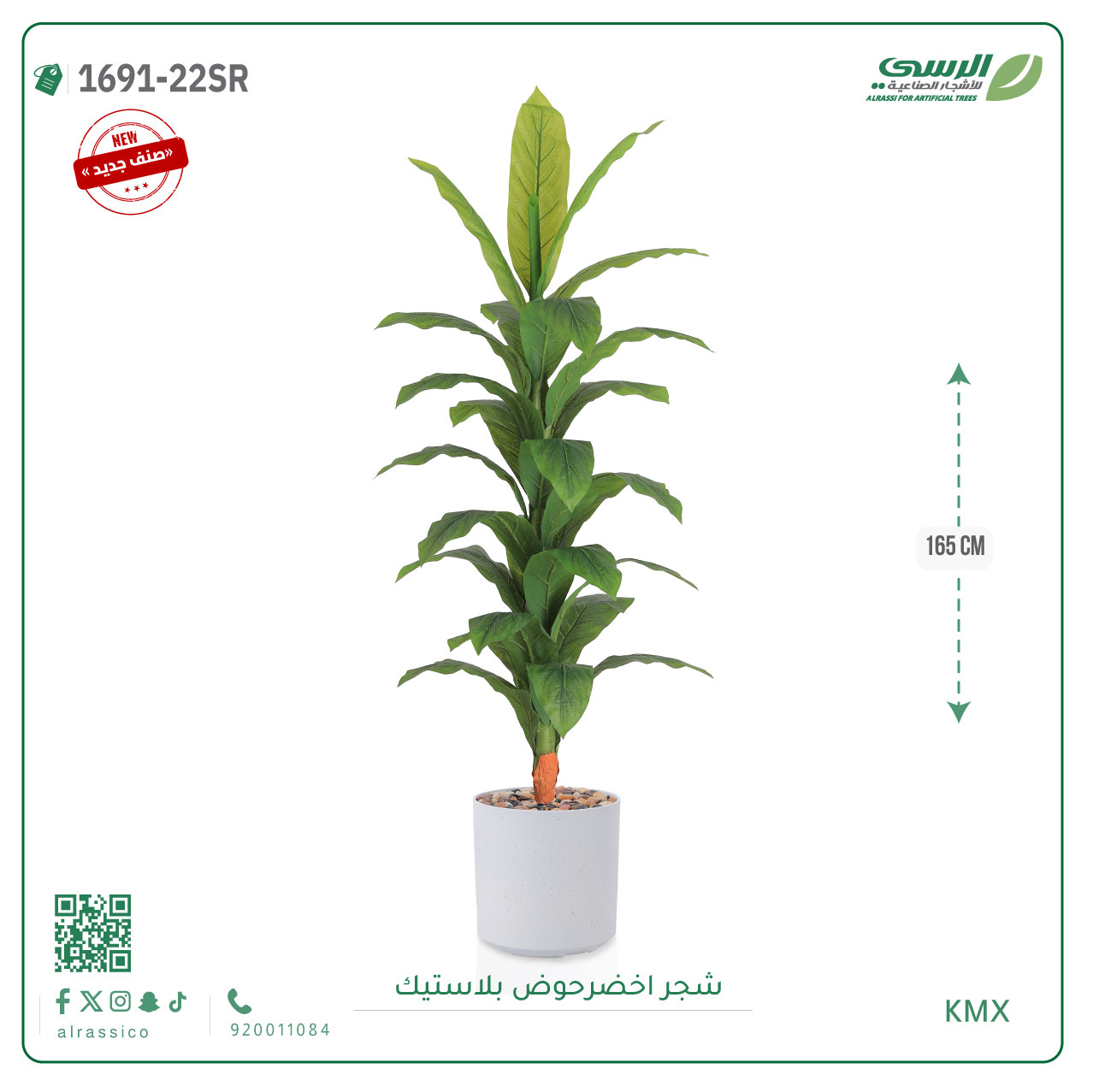  شجرة ورق أخضر وسط بمركن بلاستيك أسطواني 