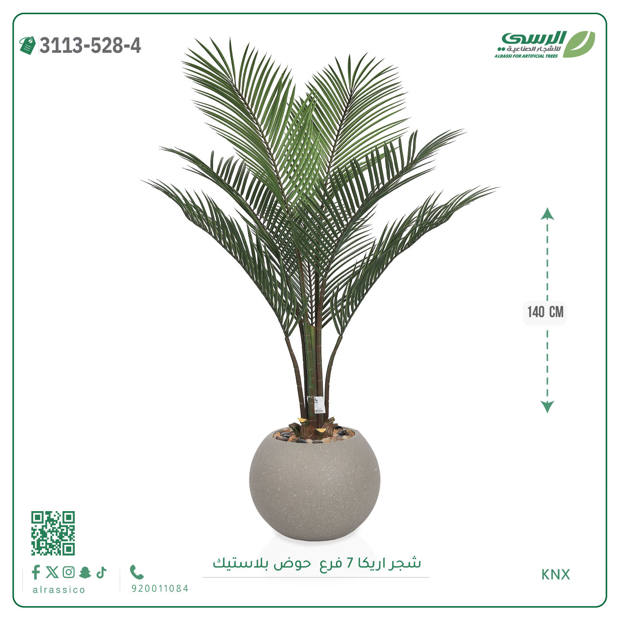   شجر أريكا (7 فروع) بارتفاع(140)بمركن بلاستيك دائرى  