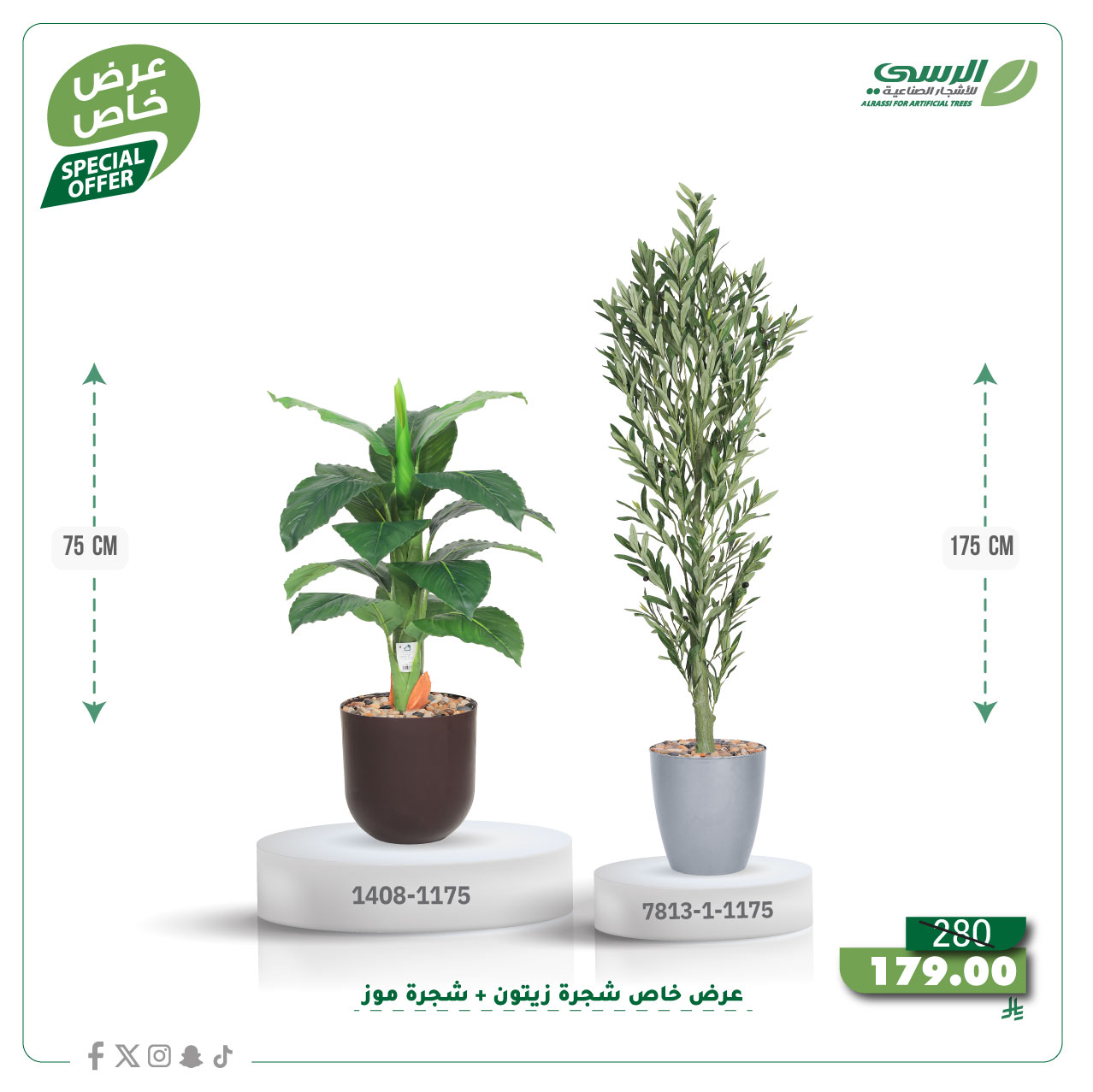  عرض شجرة زيتون صناعية ( ارتفاع 175 سم ) + شجرة ورق موز صناعية ( ارتفاع 75 سم ) حوض بلاستيك 