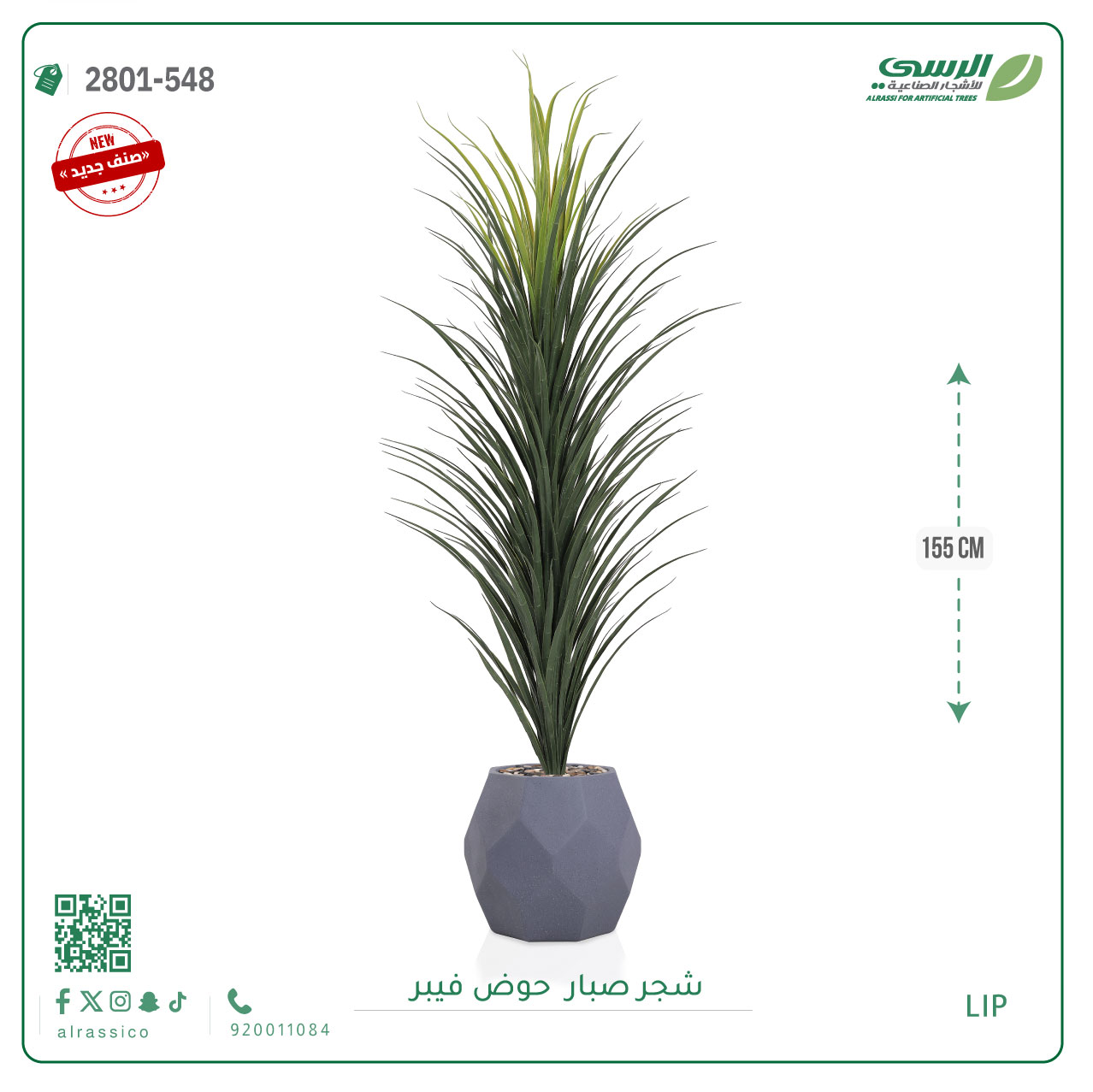  شتلة صبار بمركن فيبر مستطيل  