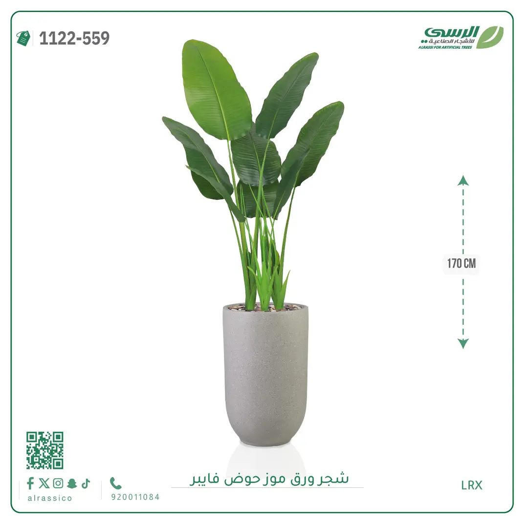  شجرة موز صناعية ( ارتفاع 170 سم ) حوض فيبر 