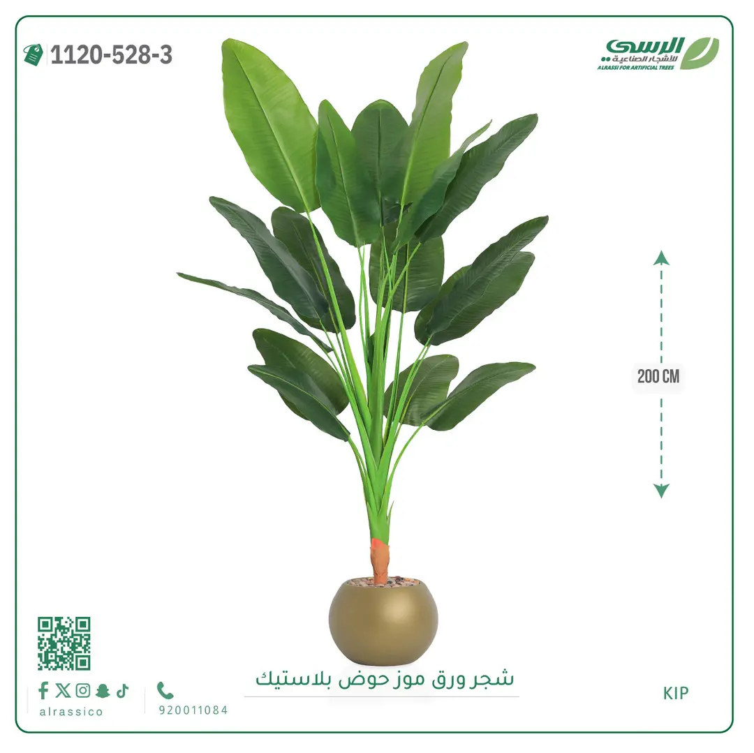  شجرة موز صناعية ( ارتفاع 200 سم ) حوض بلاستيك 