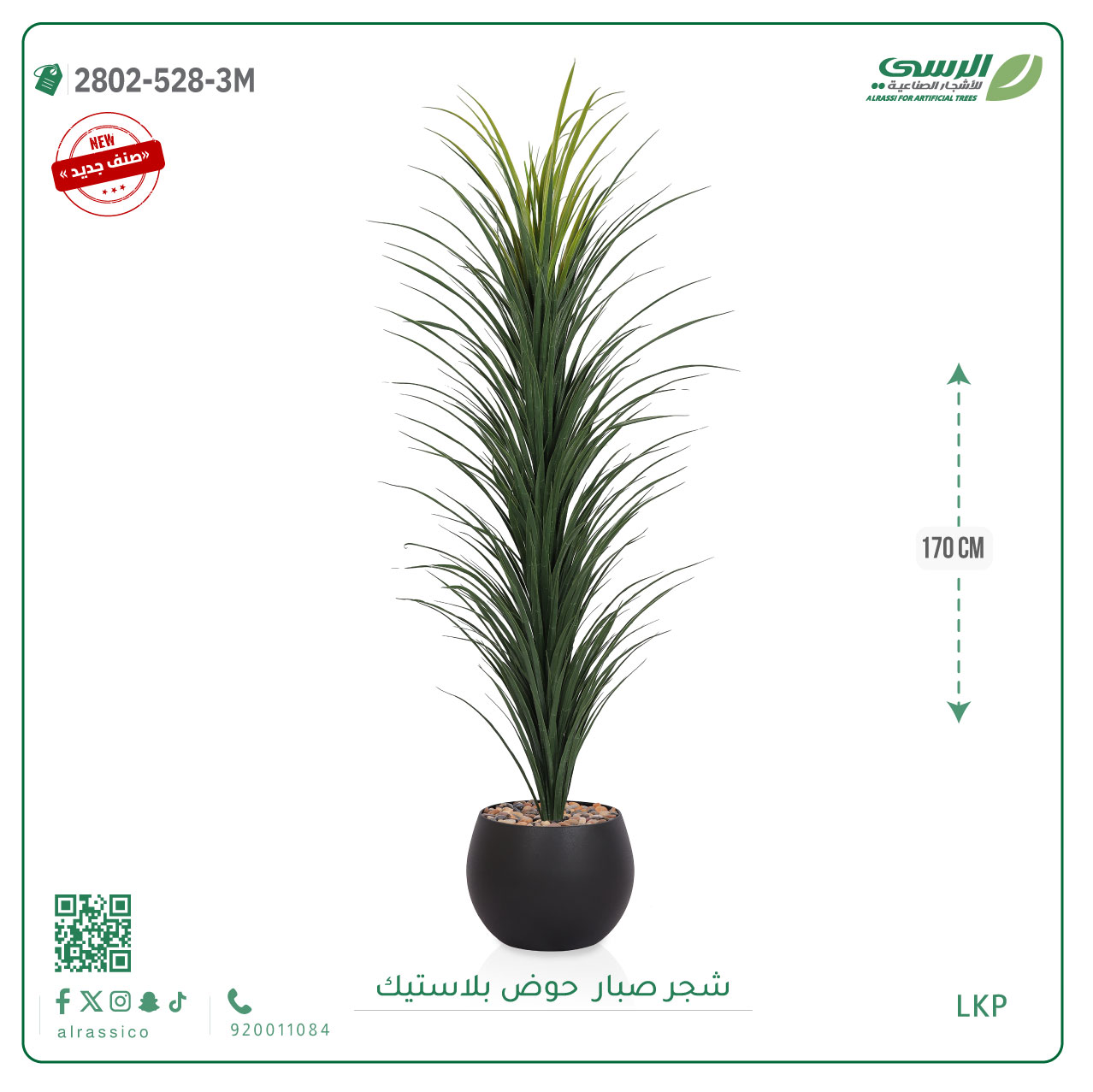   شتلة صبار بمركن بلاستيك دائري 