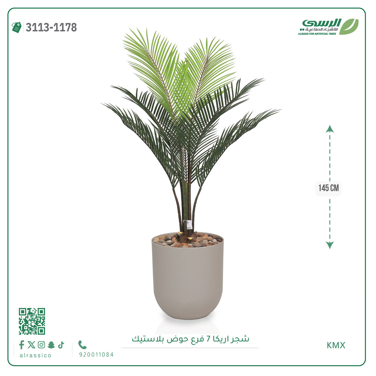  شجر أريكا (7 فروع) بمركن بلاستيك أسطواني 