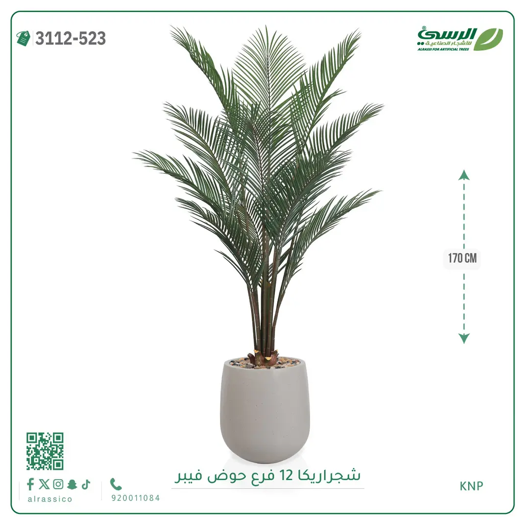  شجرة أريكا صناعية 12 فرع (ارتفاع 170 سم) حوض فيبر 