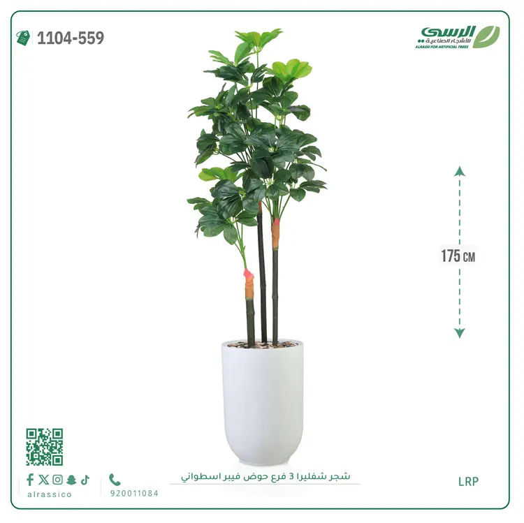  شجرة شيفليرا صناعية (ارتفاع 175 سم) بحوض فيبر 