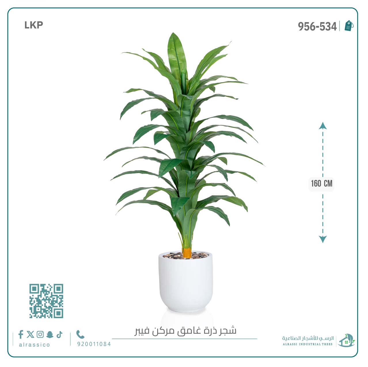  شجرة نبات الذرة (دراسينا) الاصطناعية بمركن فيبر أسطواني 