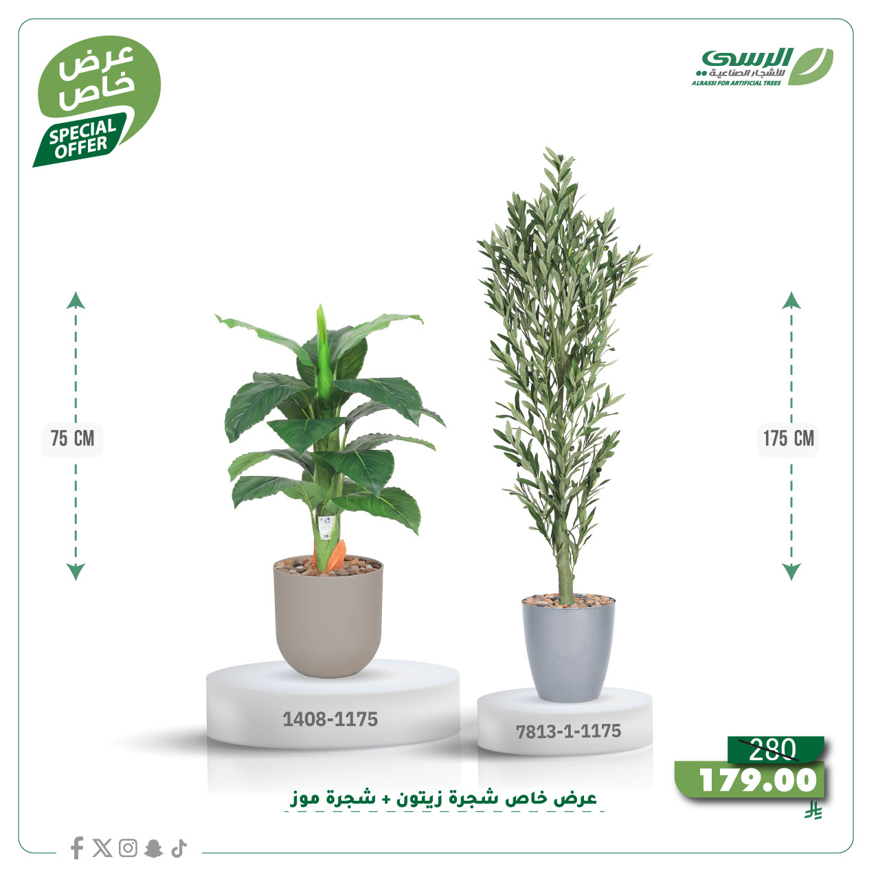  عرض شجرة زيتون صناعية ( ارتفاع 175 سم ) + شجرة ورق موز صناعية ( ارتفاع 75 سم ) حوض بلاستيك 