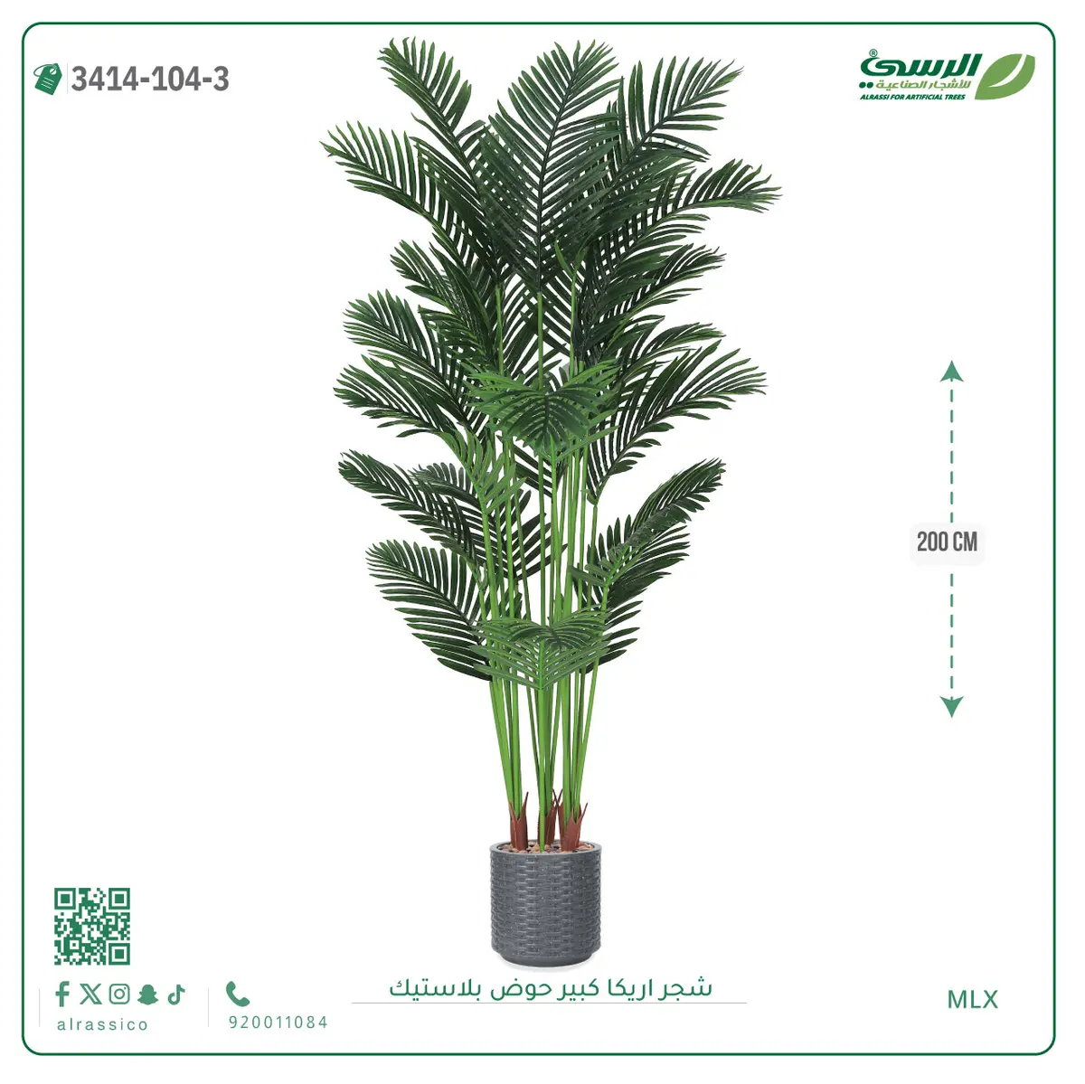  شجر أريكا صناعية ( ارتفاع 200 سم ) حوض بلاستك 
