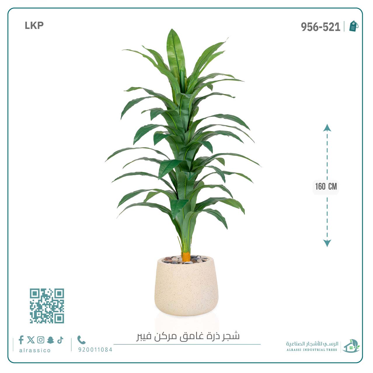  شجرة نبات الذرة (دراسينا) الاصطناعية بمركن فيبر بيضاوى 