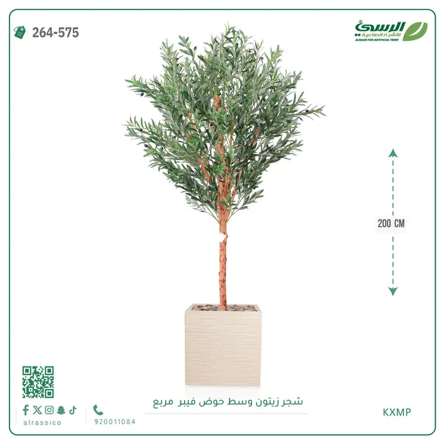  شجرة زيتون صناعية (ارتفاع 200 سم) بحوض فيبر مربع 