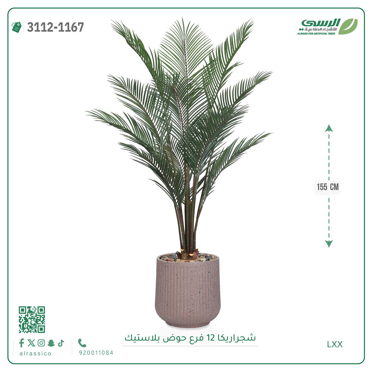  شجرة أريكا صناعية ( ارتفاع 155 سم ) حوض بلاستيك 