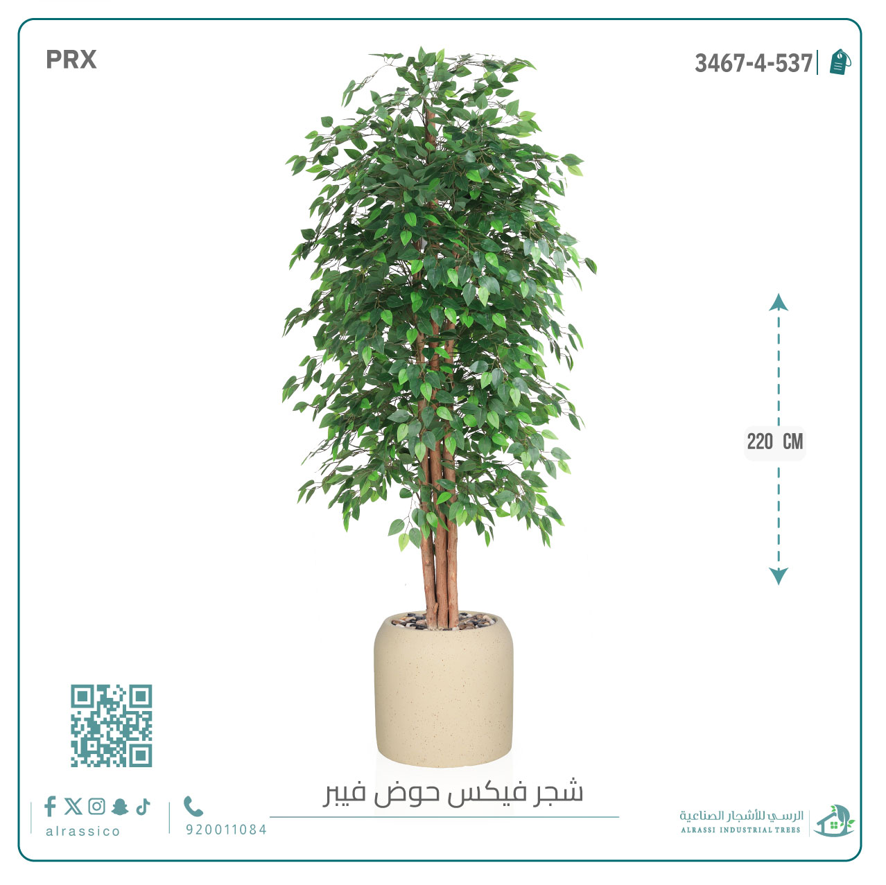  شجرة ورق فيكس اصطناعية بمركن فيبر  أسطواني 