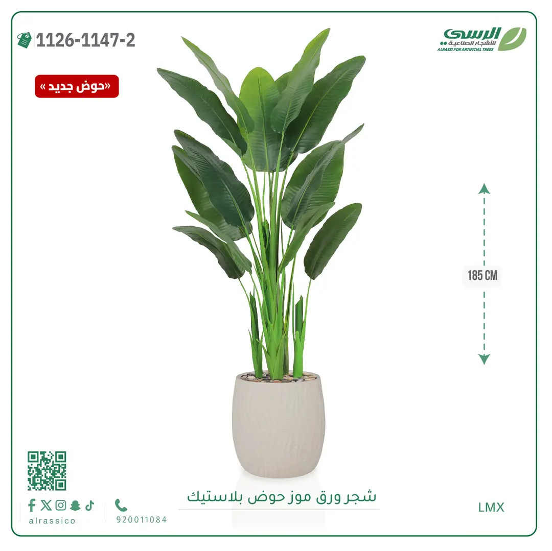  شجرة موز صناعية ( ارتفاع 185 سم ) حوض بلاستيك 