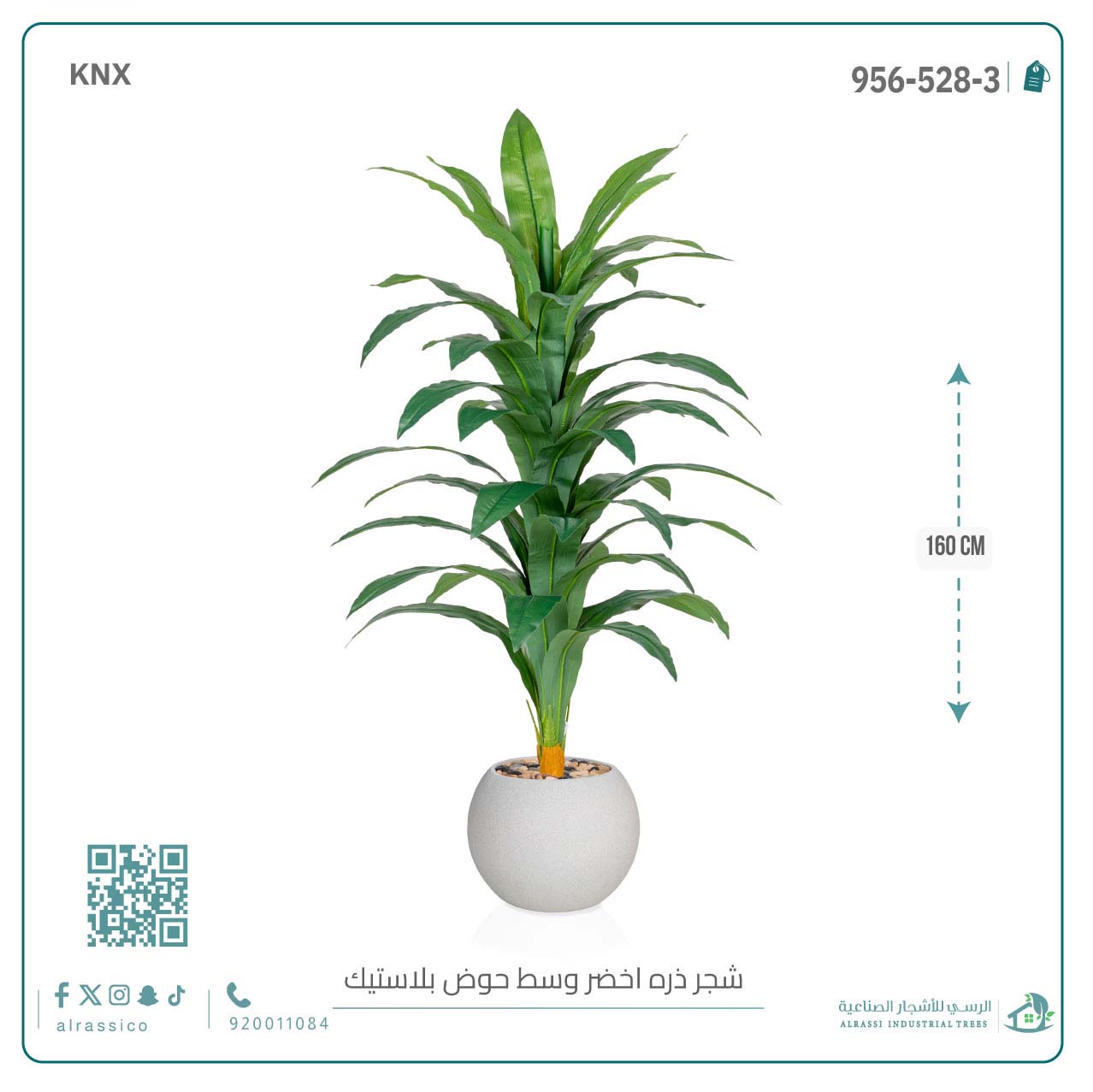  شجرة نبات الذرة (دراسينا) الاصطناعية بمركن بلاستيك دائرى 