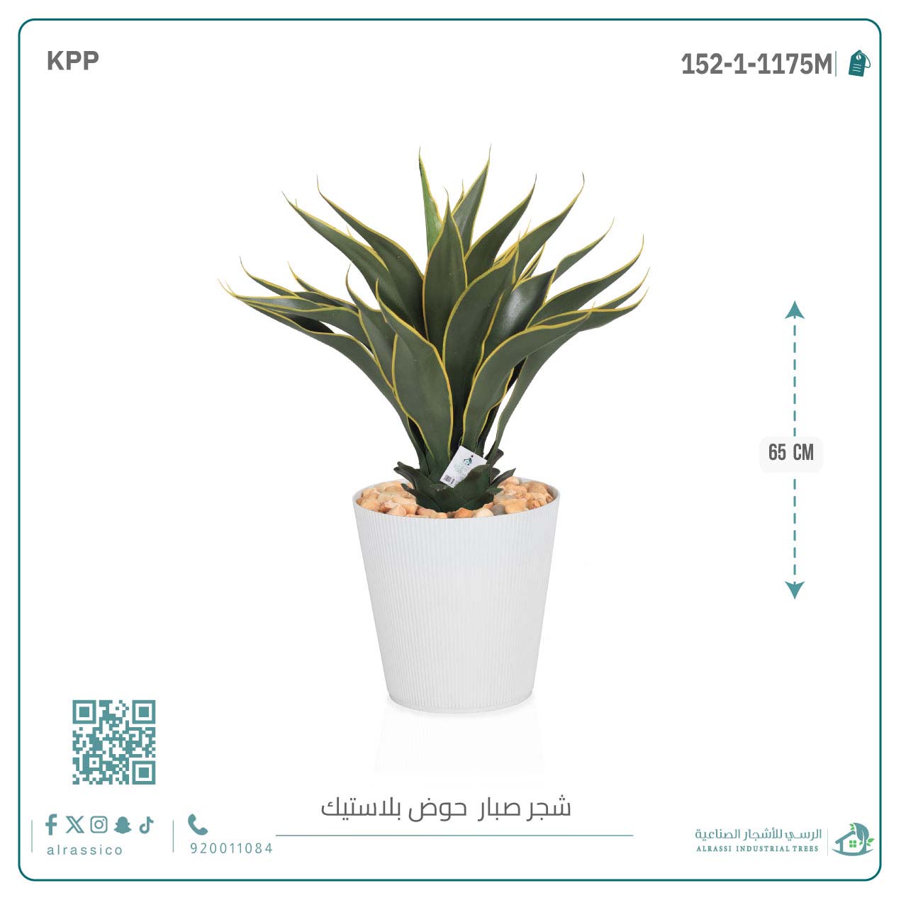  صبار ذيل الثعلب الصناعي بمركن بلاستيك اسطوانى  