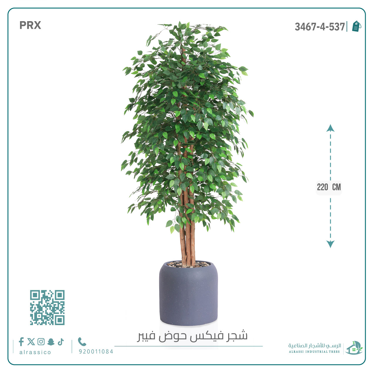  شجرة ورق فيكس اصطناعية بمركن فيبر  أسطواني 