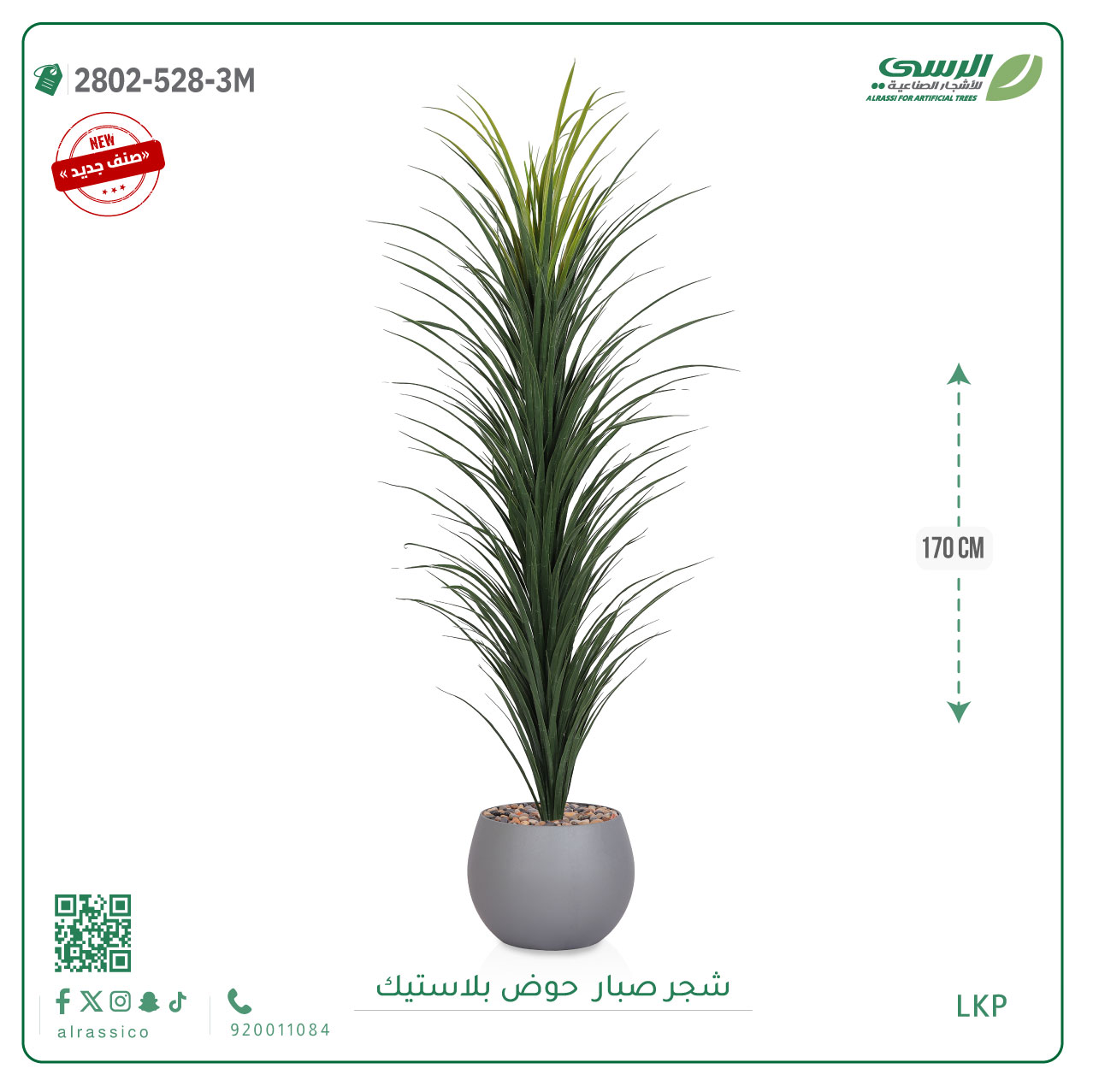   شتلة صبار بمركن بلاستيك دائري 
