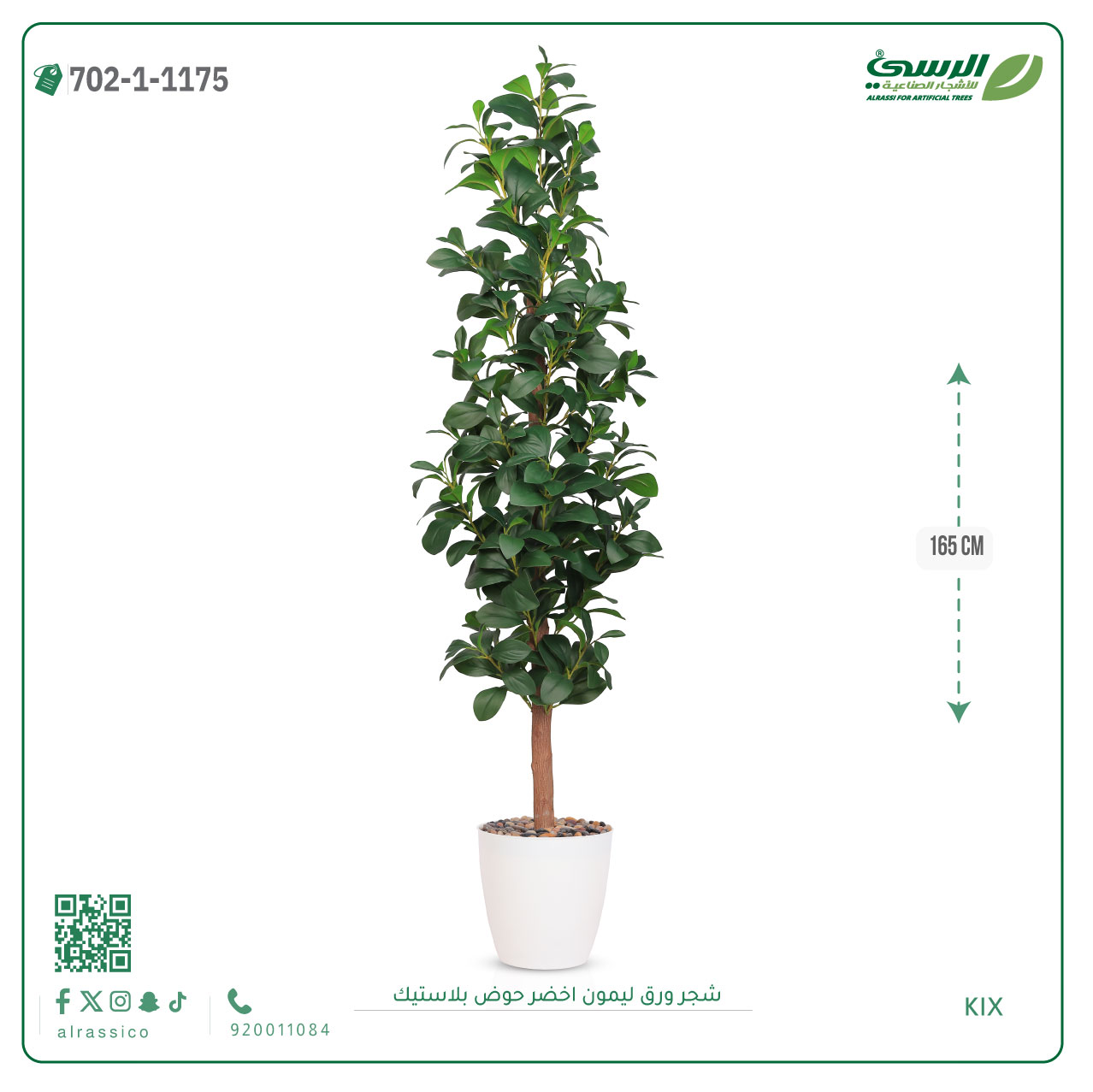  شجرة ورق ليمون صناعية خضراء (ارتفاع 165 سم) حوض بلاستيك 