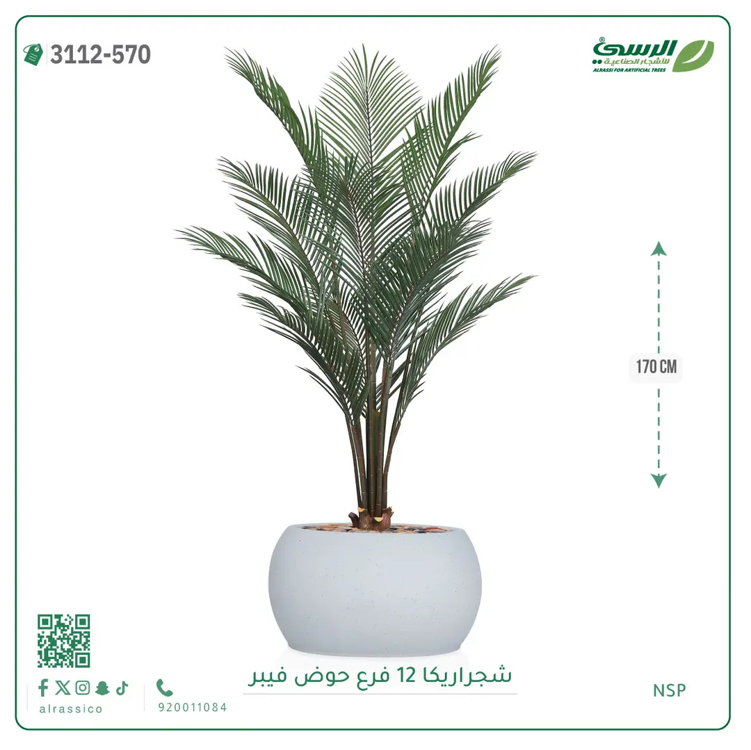  شجرة أريكا صناعية 12 فرع (ارتفاع 170 سم) حوض فيبر 