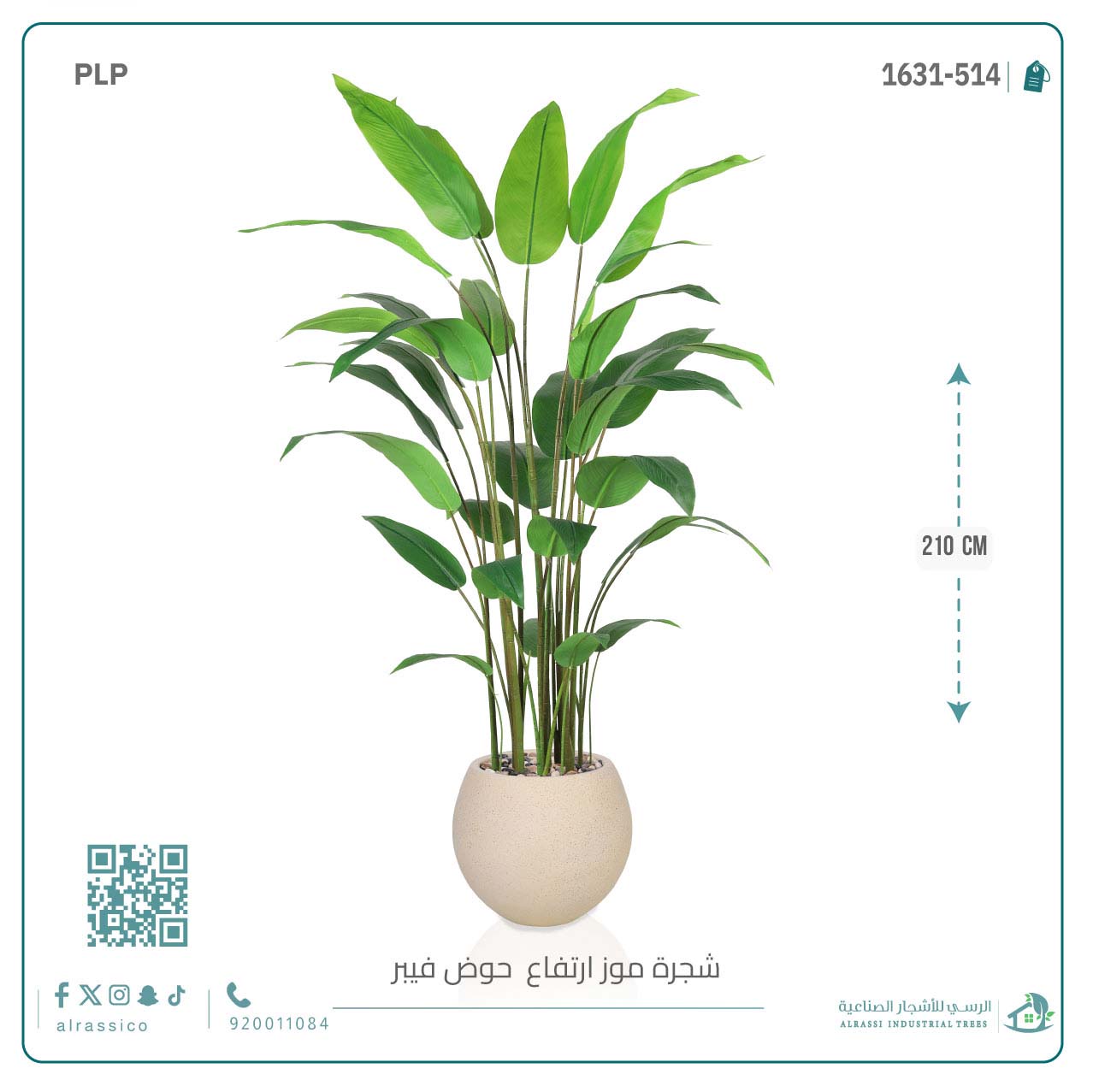  شجرة عصفور الجنة الاصطناعية الكبيرة بمركن فيبر دائرى  