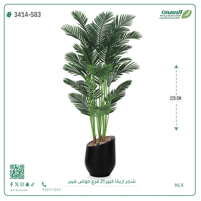  شجرة أريكا صناعية 21 فرع (ارتفاع 225 سم) حوض فيبر 