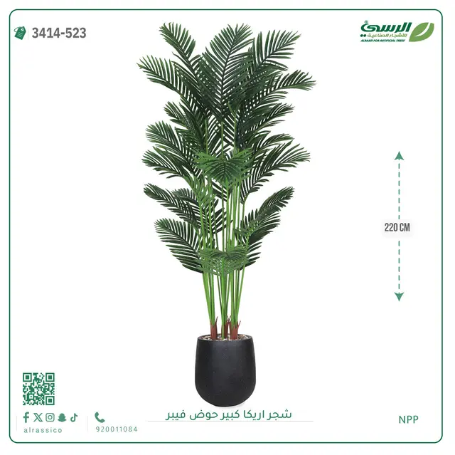  شجر أريكا صناعية ( ارتفاع 220 سم ) حوض فيبر 