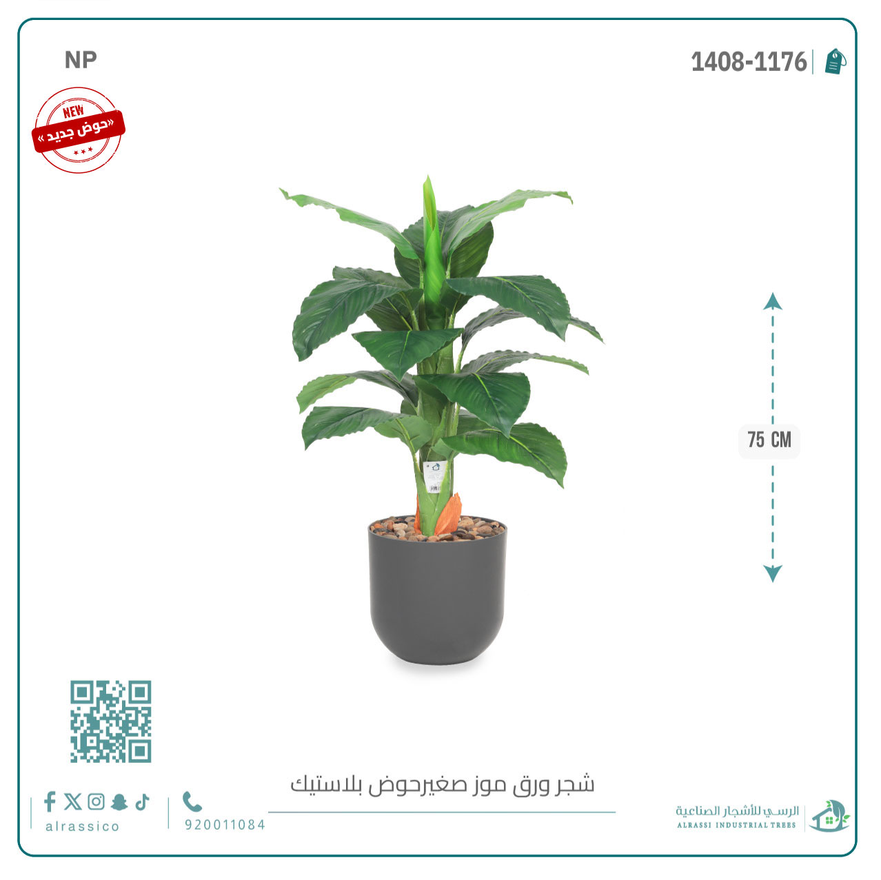   شجرة ورق موز صغير بمركن بلاستيك أسطواني 