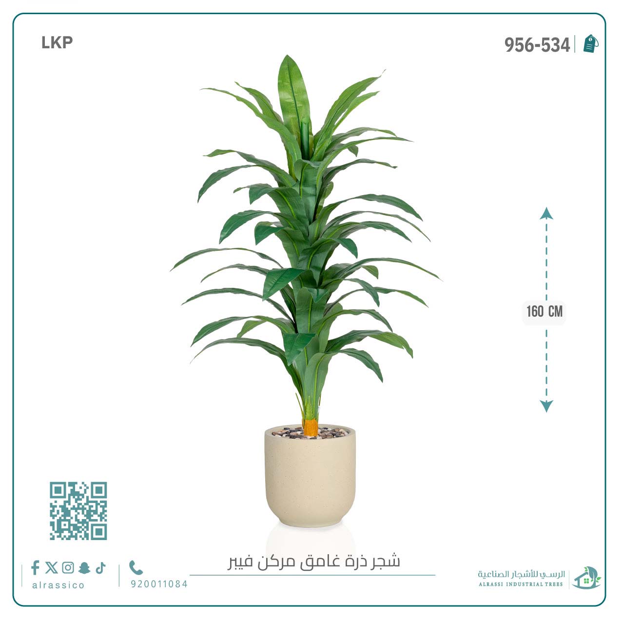  شجرة نبات الذرة (دراسينا) الاصطناعية بمركن فيبر أسطواني 
