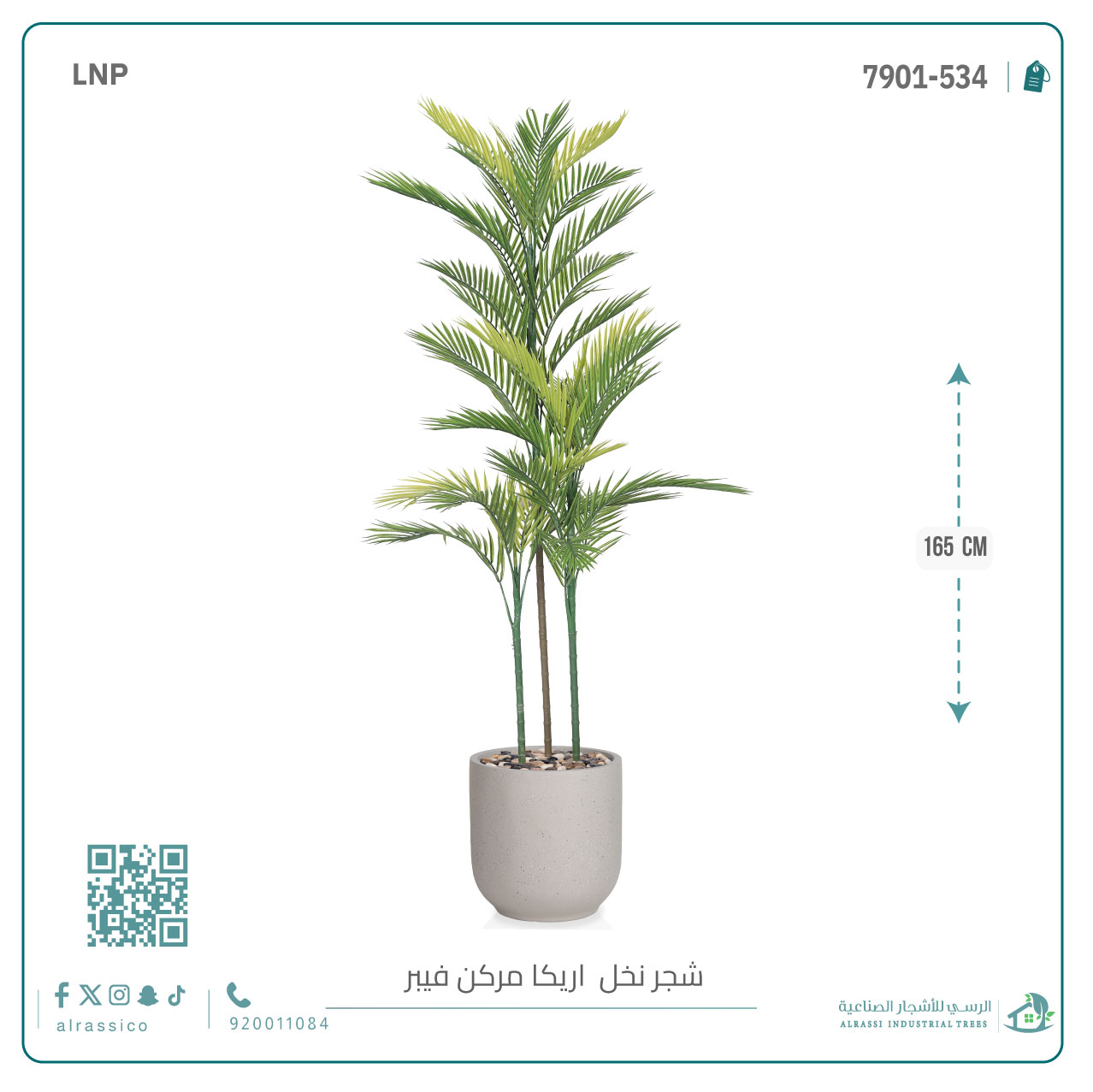  نخل أريكا اصطناعية (3 فرع) بمركن فيبر  أسطواني 